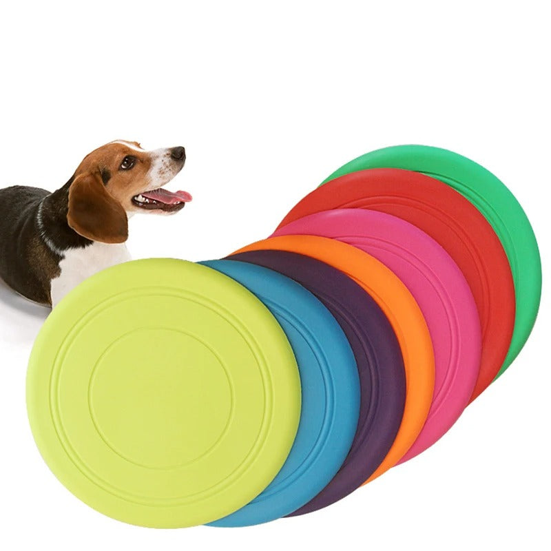 Doggy Frisbee