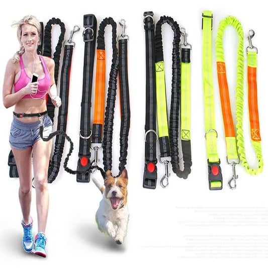 Hands Free Dog Leash